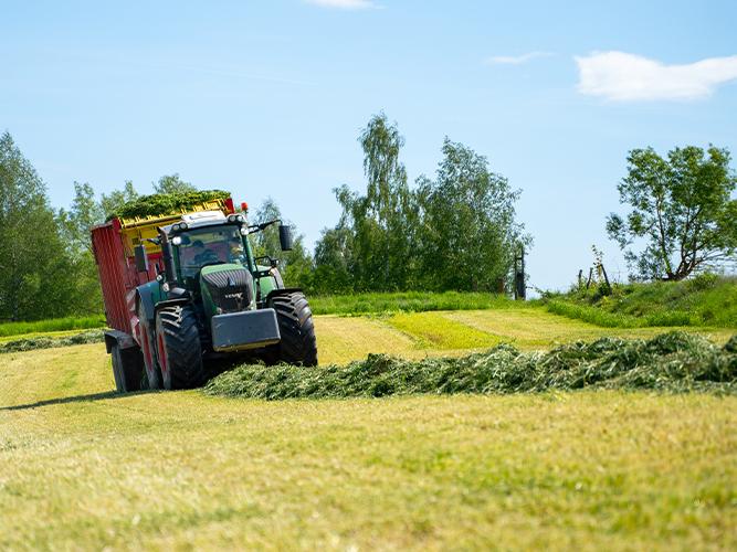 HayMax Short Term